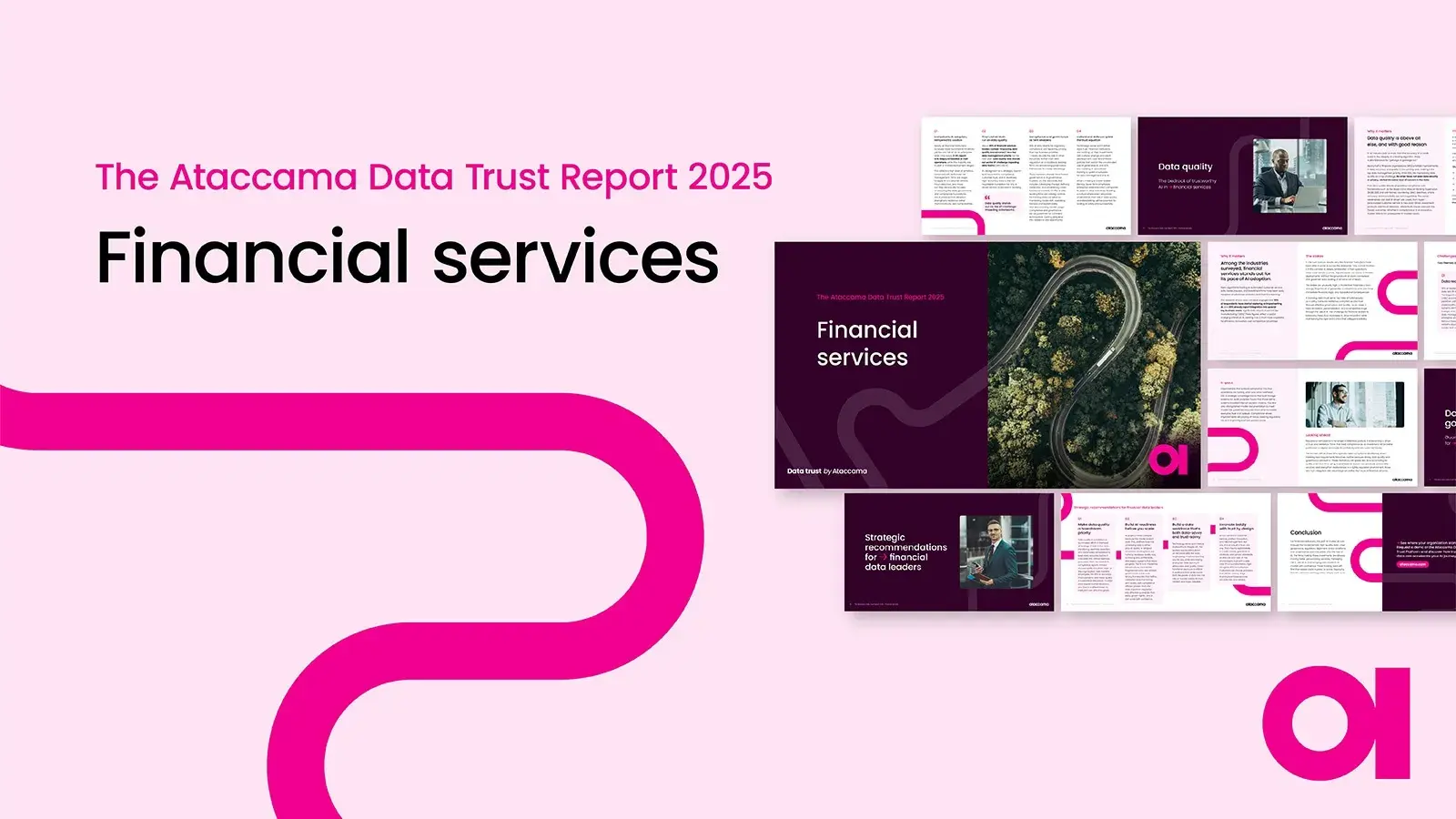 2025 Data Trust Report: Financial Services Edition